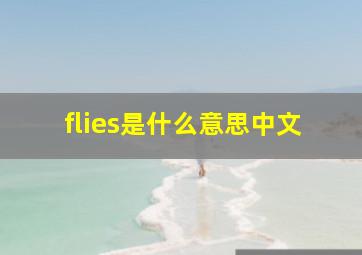 flies是什么意思中文