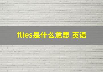 flies是什么意思 英语