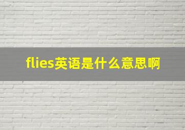 flies英语是什么意思啊