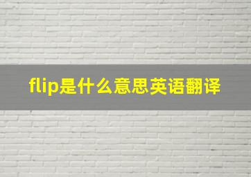 flip是什么意思英语翻译