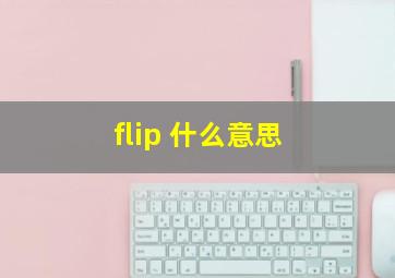 flip 什么意思