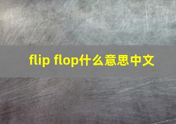 flip flop什么意思中文