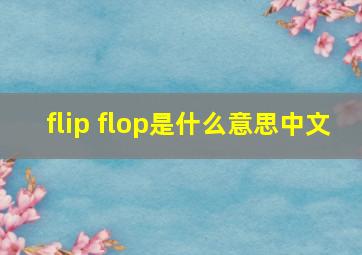 flip flop是什么意思中文