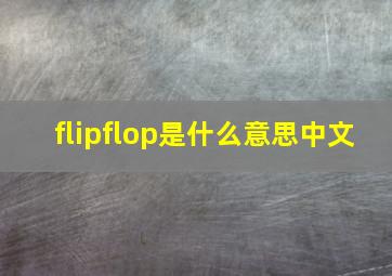 flipflop是什么意思中文