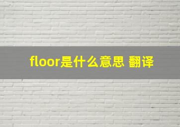 floor是什么意思 翻译