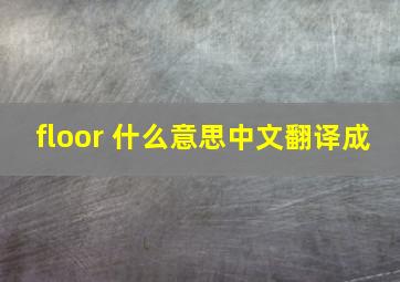 floor 什么意思中文翻译成