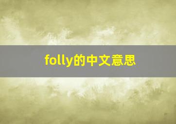 folly的中文意思