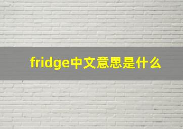 fridge中文意思是什么