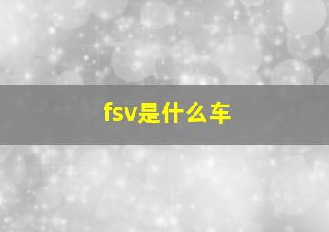 fsv是什么车