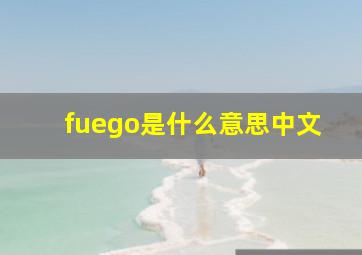 fuego是什么意思中文