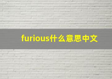 furious什么意思中文