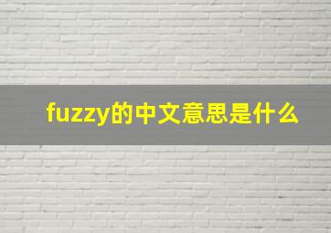 fuzzy的中文意思是什么