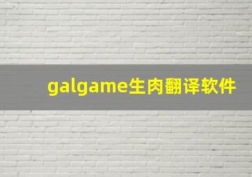 galgame生肉翻译软件