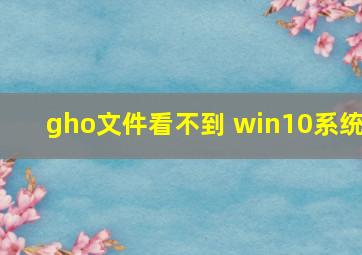 gho文件看不到 win10系统