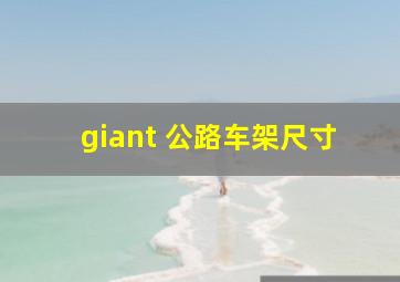 giant 公路车架尺寸