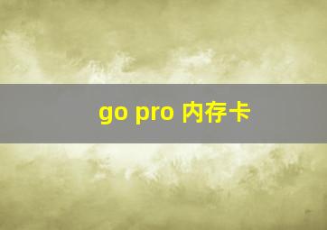 go pro 内存卡