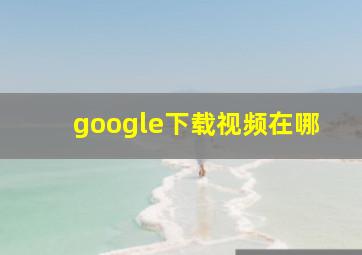 google下载视频在哪