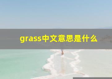 grass中文意思是什么