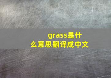 grass是什么意思翻译成中文