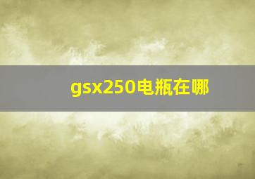 gsx250电瓶在哪