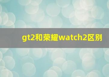 gt2和荣耀watch2区别