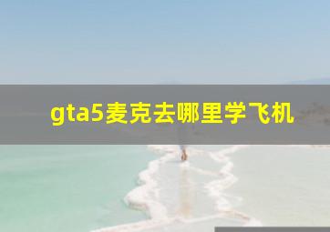 gta5麦克去哪里学飞机