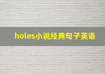 holes小说经典句子英语