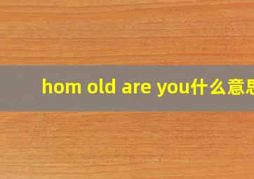 hom old are you什么意思