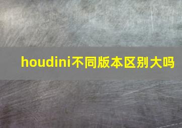 houdini不同版本区别大吗