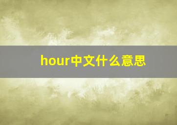 hour中文什么意思