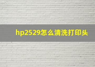 hp2529怎么清洗打印头