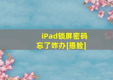 iPad锁屏密码忘了咋办[捂脸]