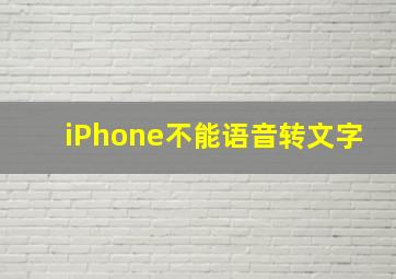 iPhone不能语音转文字