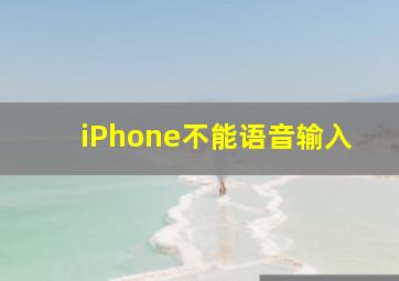 iPhone不能语音输入