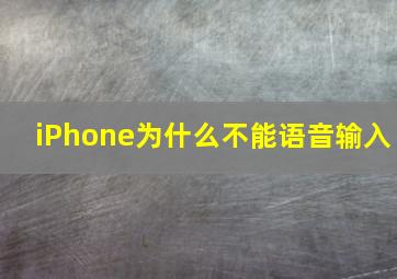 iPhone为什么不能语音输入