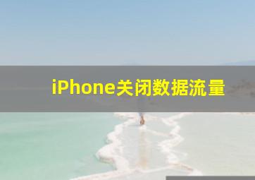 iPhone关闭数据流量