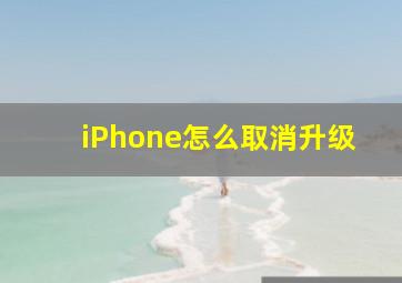 iPhone怎么取消升级