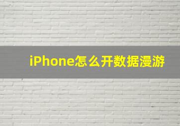 iPhone怎么开数据漫游