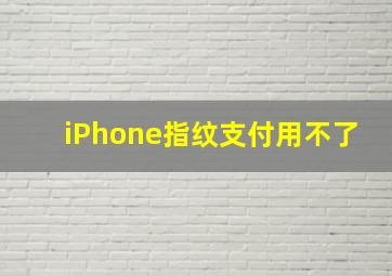 iPhone指纹支付用不了