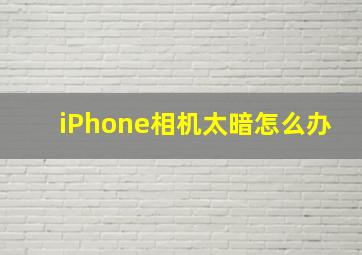 iPhone相机太暗怎么办