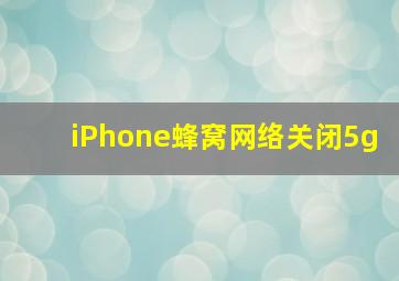 iPhone蜂窝网络关闭5g