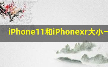 iPhone11和iPhonexr大小一样吗