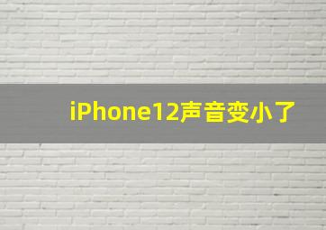 iPhone12声音变小了