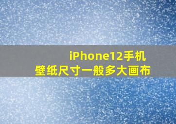 iPhone12手机壁纸尺寸一般多大画布