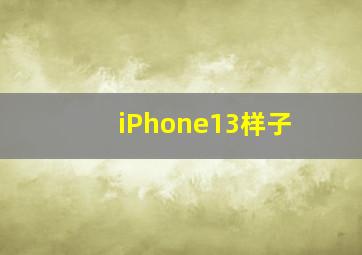 iPhone13样子