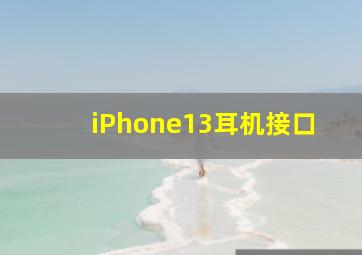 iPhone13耳机接口