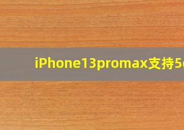 iPhone13promax支持5g吗