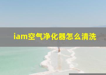 iam空气净化器怎么清洗