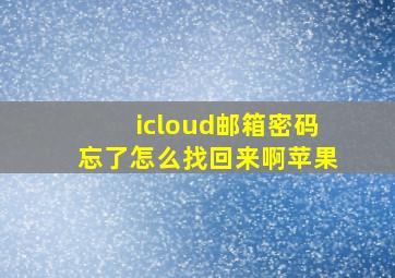 icloud邮箱密码忘了怎么找回来啊苹果