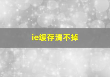 ie缓存清不掉